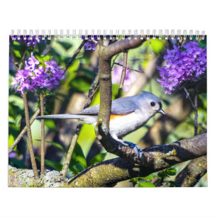 Calendrier photo Oiseau sauvage