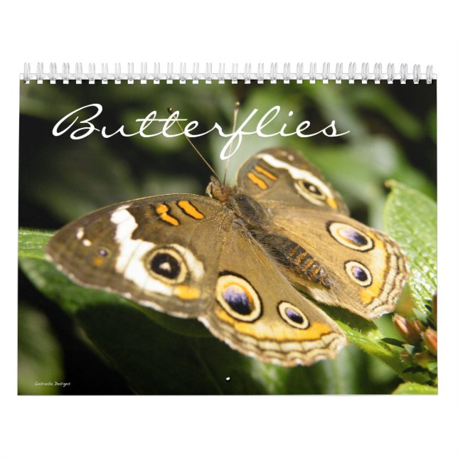 Calendrier photo papillon (Protection)