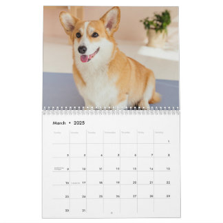 Calendrier photo personnalisé de Chien de Corgi de