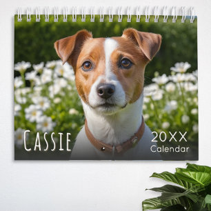 Calendrier photo pour chien animal de compagnie pe