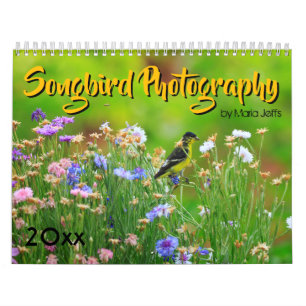 Calendrier Photographie 2019 d'oiseau chanteur