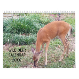 Calendrier Photographie de cerfs sauvages