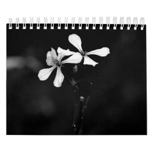 Calendrier Photographie de fleurs en noir et blanc
