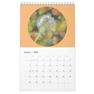 Calendrier Photographie de Fleurs sauvages