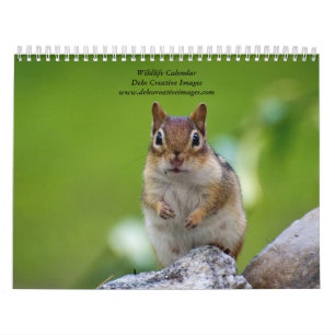 Calendrier Photographie de la faune de New York 2027 Photog
