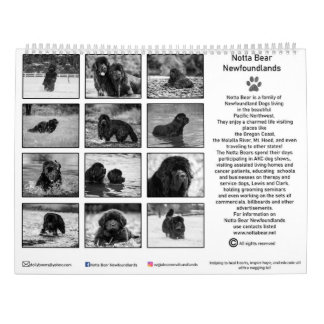 Calendrier Photographie de terre-neuve noir et blanc