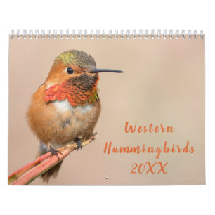 Calendrier Photographie des colibris occidentaux