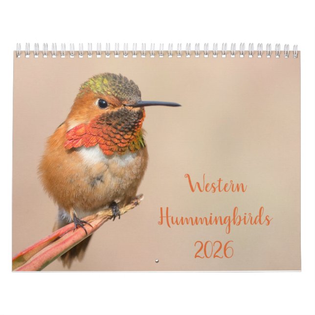 Calendrier Photographie des oiseaux de mer de l'Ouest en 2021 (Protection)