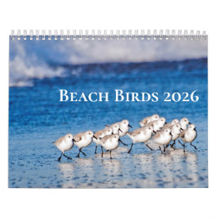 Calendrier Photographie des oiseaux de plage