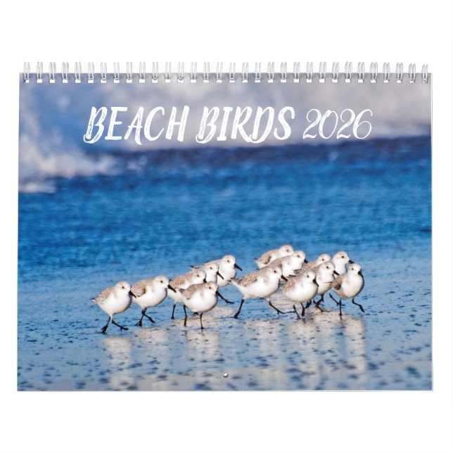 Calendrier Photographie des oiseaux de plage 2021 (Protection)