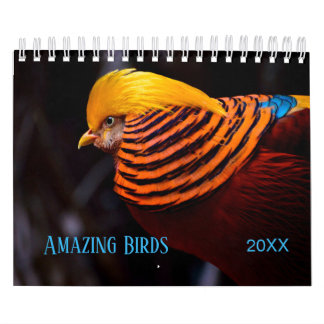 Calendrier Photographie Extraordinaire des OISEAUX