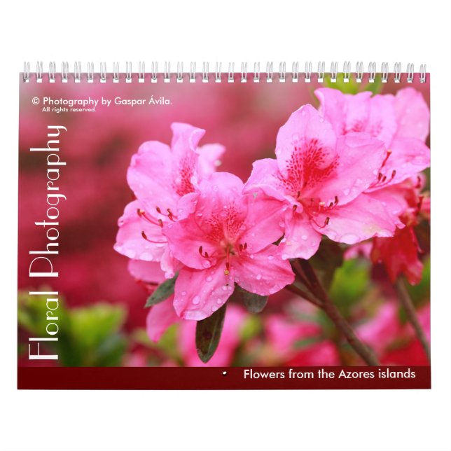 Calendrier Photographie florale - îles Açores (Protection)