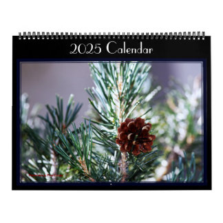 Calendrier Photographies de divers oiseaux dans un jardin. Ca