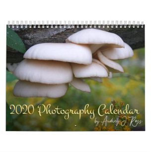 Calendrier photographique 2020