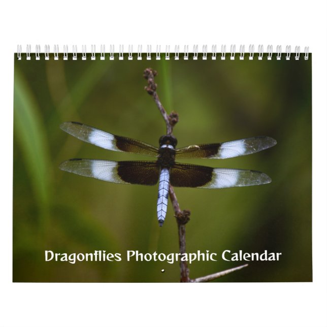 Calendrier photographique des libellules (Protection)