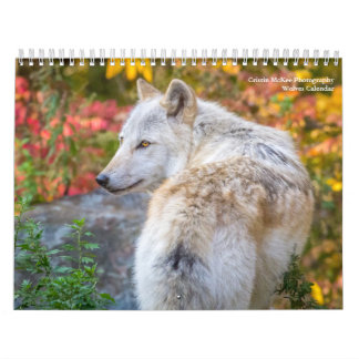 Calendrier photographique Wolf