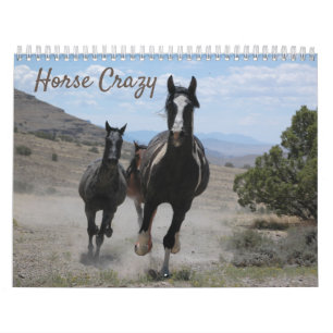 Calendrier Photos de chevaux pour les amateurs de chevaux