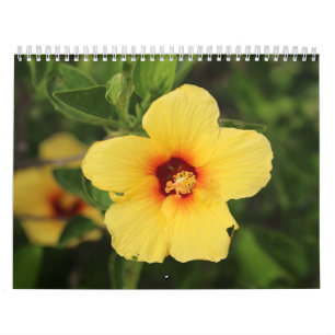 Calendrier Photos de nature de Kaui