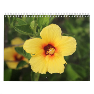 Calendrier Photos de nature de Kaui
