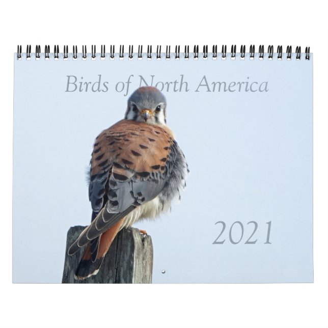 Calendrier - Photos des oiseaux d'Amérique du Nord (Protection)