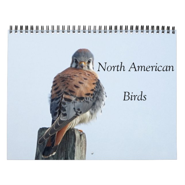 Calendrier - Photos d'oiseaux d'Amérique du Nord (Protection)