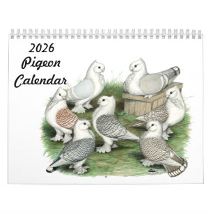 Calendrier Pigeon 2026