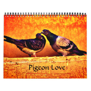Calendrier Pigeon Love