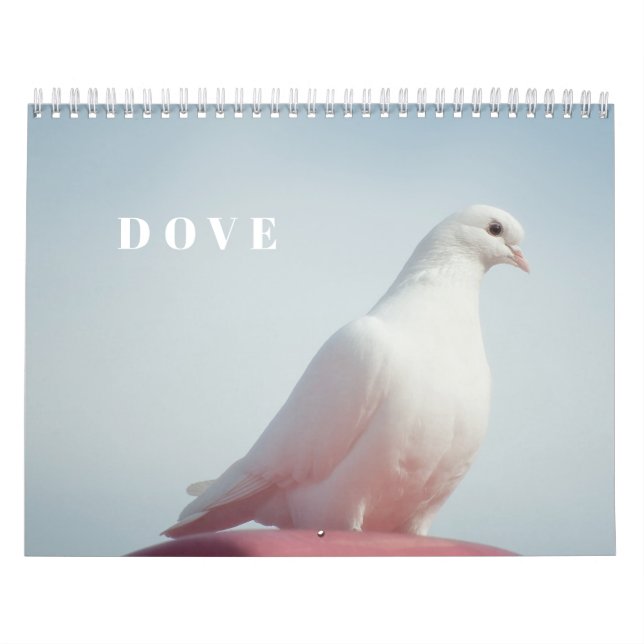 Calendrier Pigeons paisibles et colombes élégantes Nature ins (Protection)