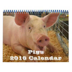 Calendrier Pigs 2016