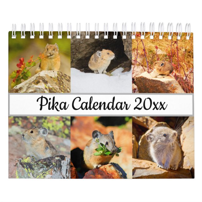 Calendrier Pika (Protection)
