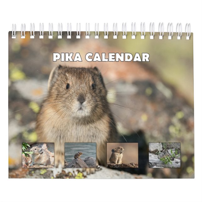 Calendrier Pika (Protection)