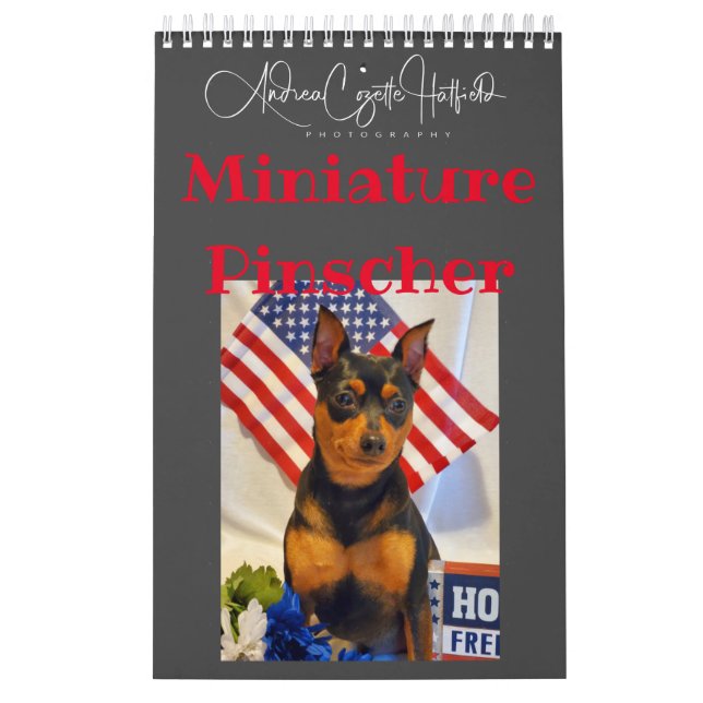 Calendrier Pinces miniatures (Protection)