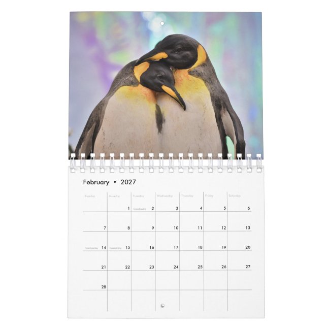 Calendrier Pingouin (Feb 2027)