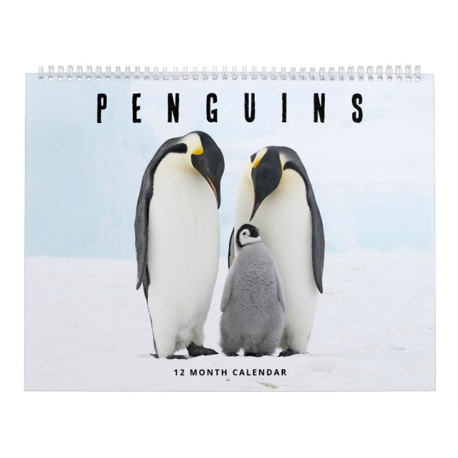 Calendrier Pingouins (Protection)