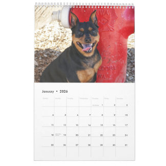 Calendrier Pinscher Nain Un