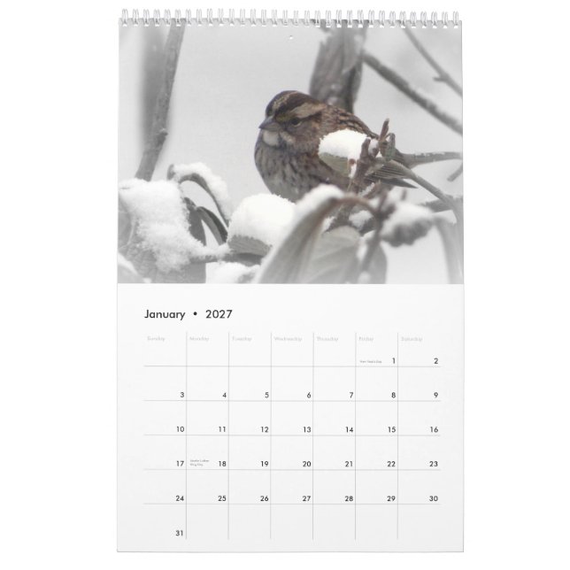 Calendrier Place tranquille 2011 (Jan 2027)