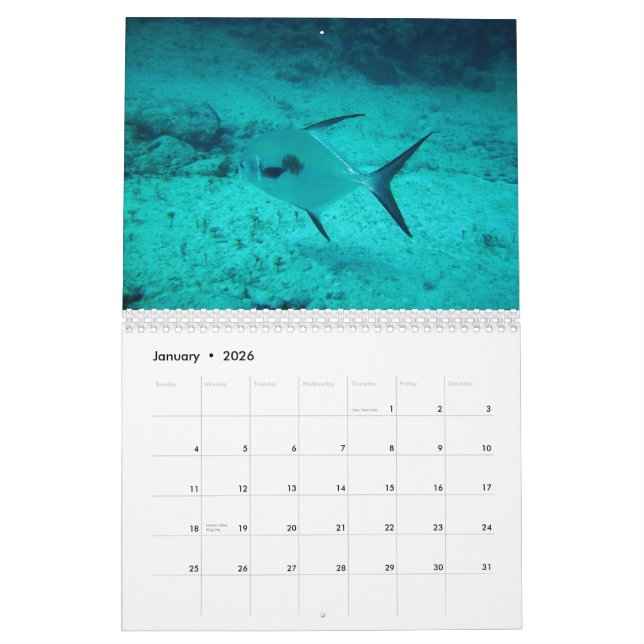 Calendrier Playa del Carmen, Mexique (Jan 2026)