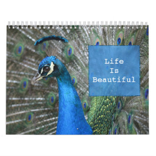 Calendrier Plumes Kauai Peacock