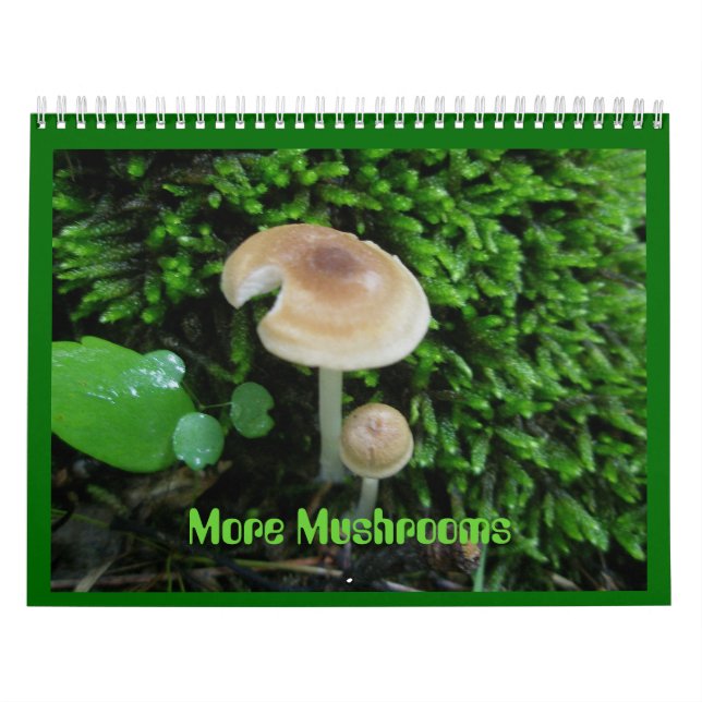 Calendrier - Plus de champignons (Protection)