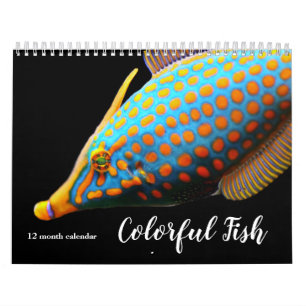 Calendrier Poisson coloré 2026