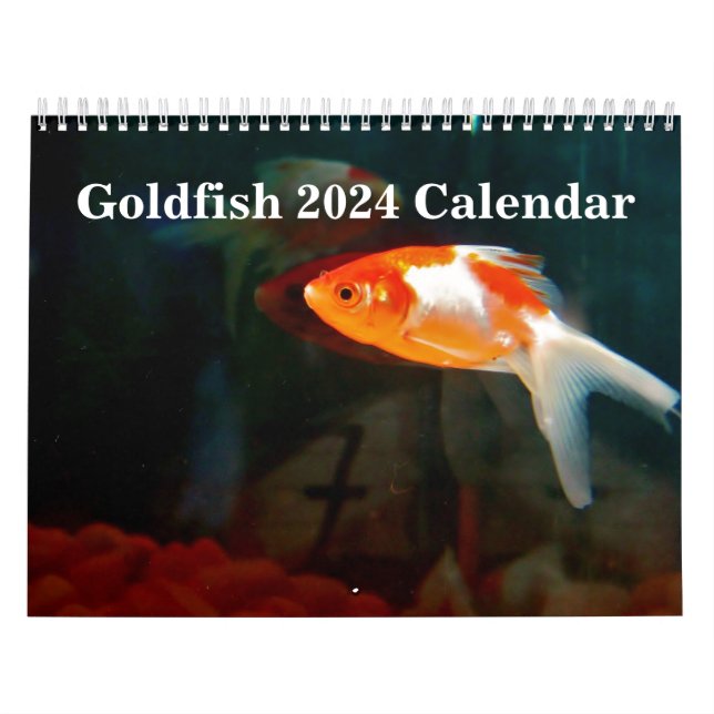 Calendrier Poisson rouge 2025 (Protection)