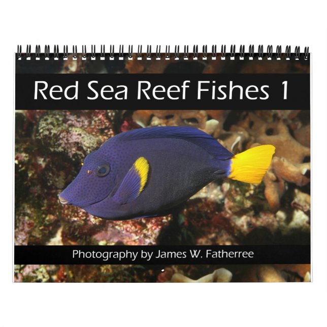 Calendrier Poissons du récif de la mer Rouge 1 (Protection)
