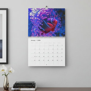 Calendrier Poissons Tropicaux Colorés 2026 Paradis Sous-Marin