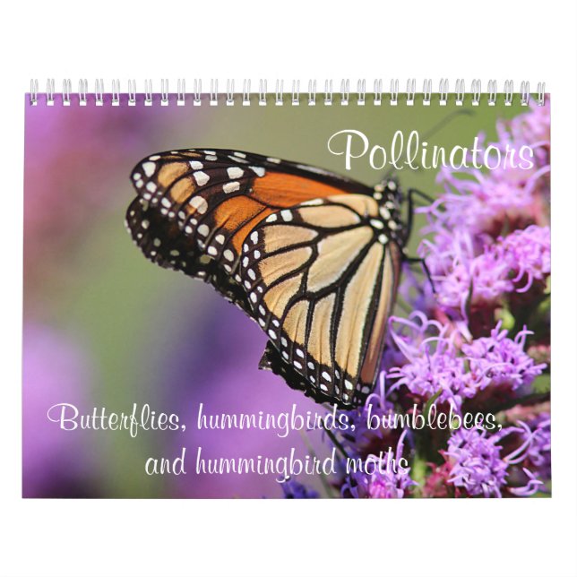 Calendrier Pollinisateurs (Protection)