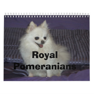 Calendrier Pomeranians royal