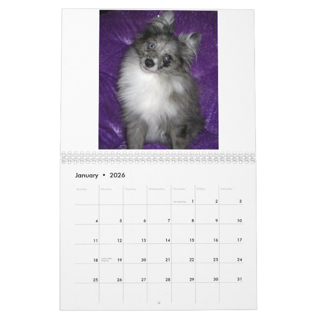 Calendrier Pomeranians royal (Jan 2026)