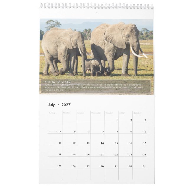 Calendrier Portraits de la vie d'un éléphant (Jul 2027)