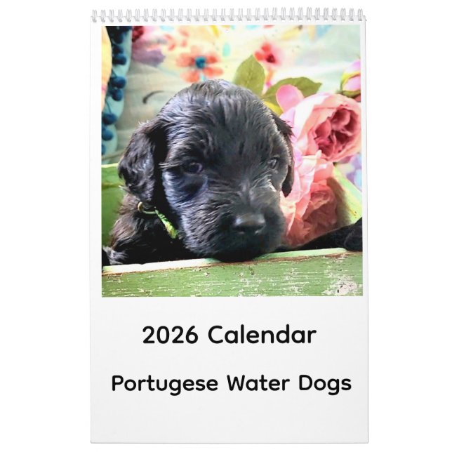 Calendrier Portuguese Water Dog Calendar 2026 (Protection)