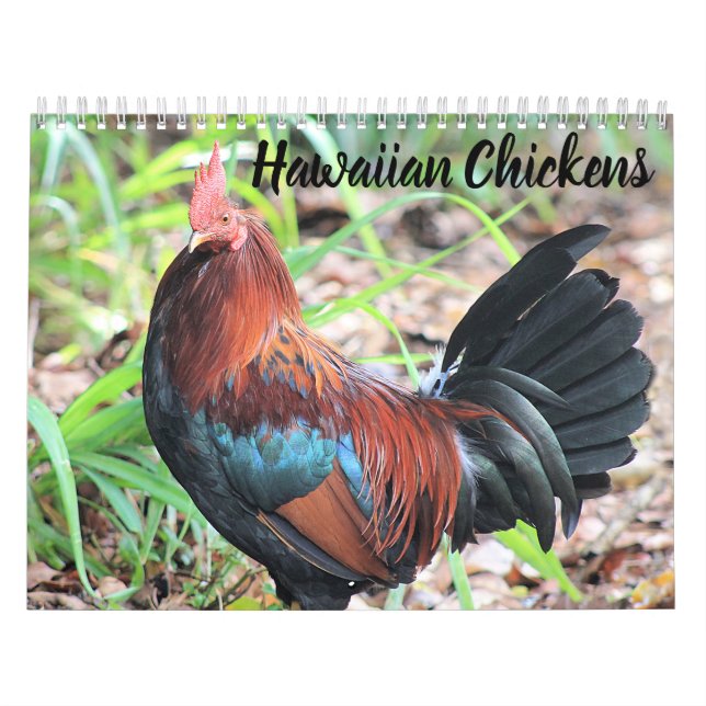 Calendrier Poulets hawaïens (Protection)