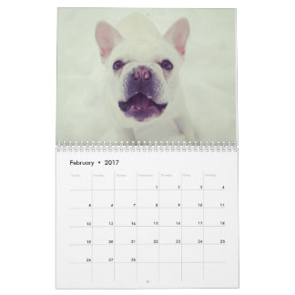 Calendrier pour 2017